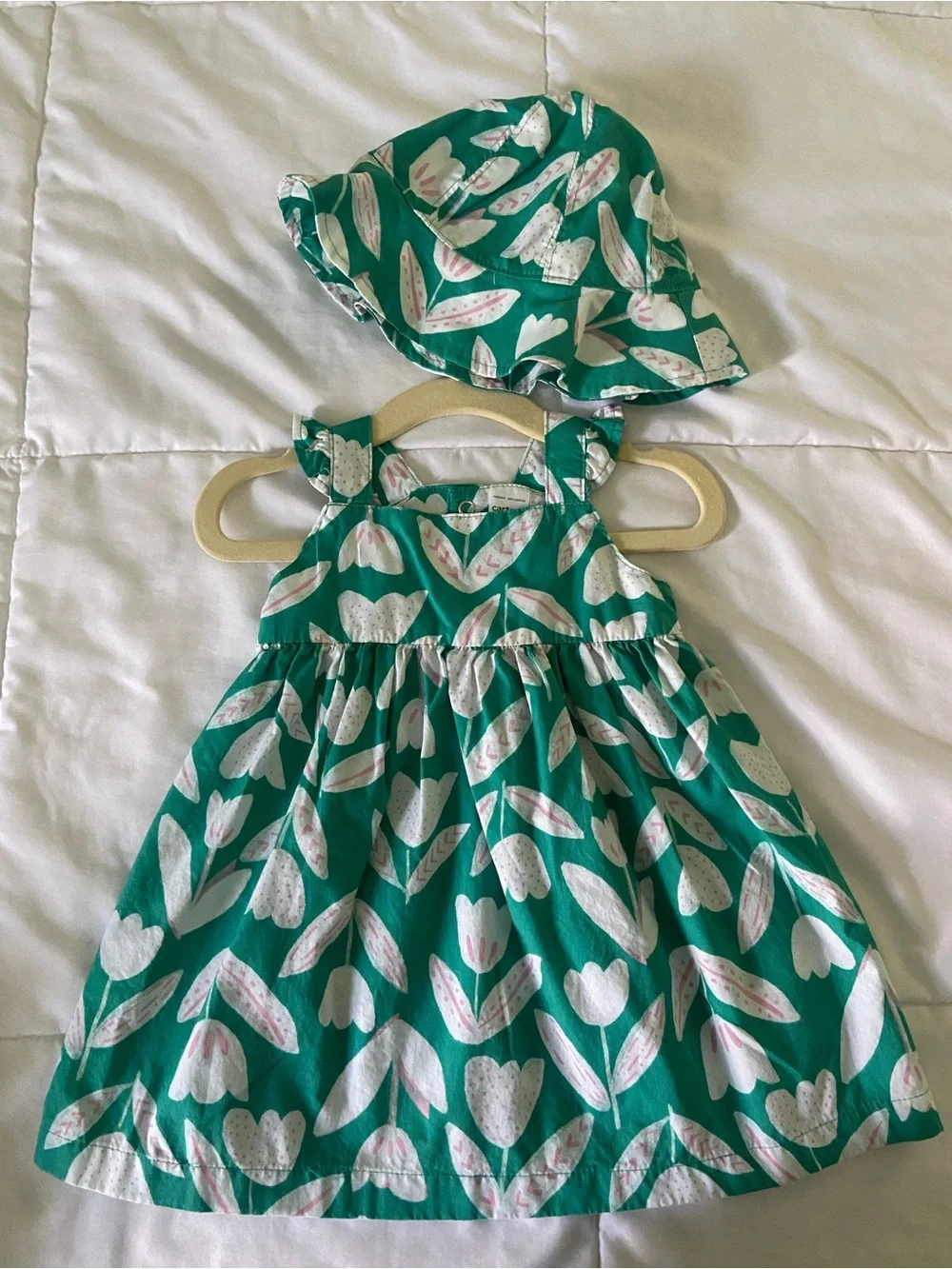 Carters nsnp sage